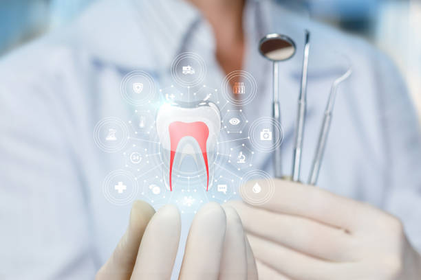 Trusted Tornillo, TX Holistic Dental Care Services Experts